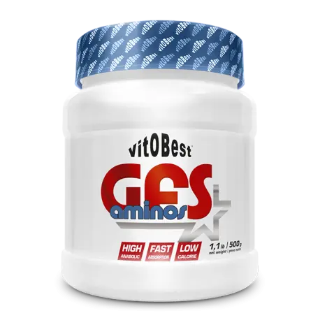 GFS Amions 500gr Master Nutrition